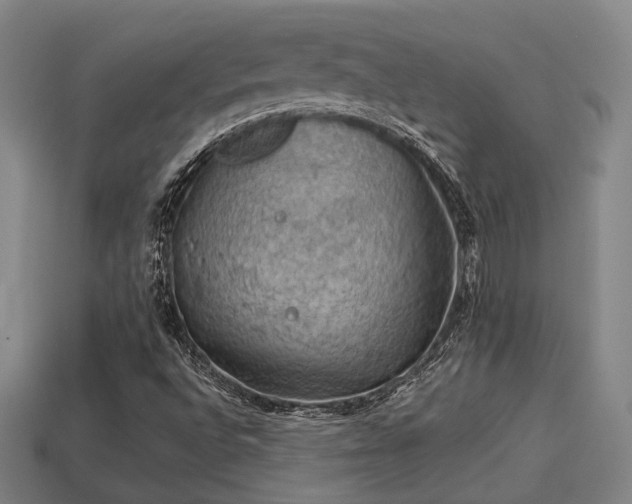 X0000113591496200909251125