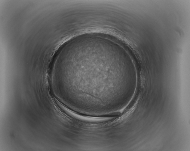 X0000113591497200909251125