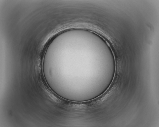 X0000113591498200909251125