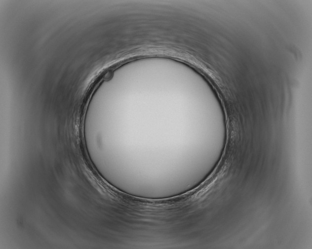 X0000113591499200909251125