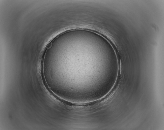 X0000113591500200909251125