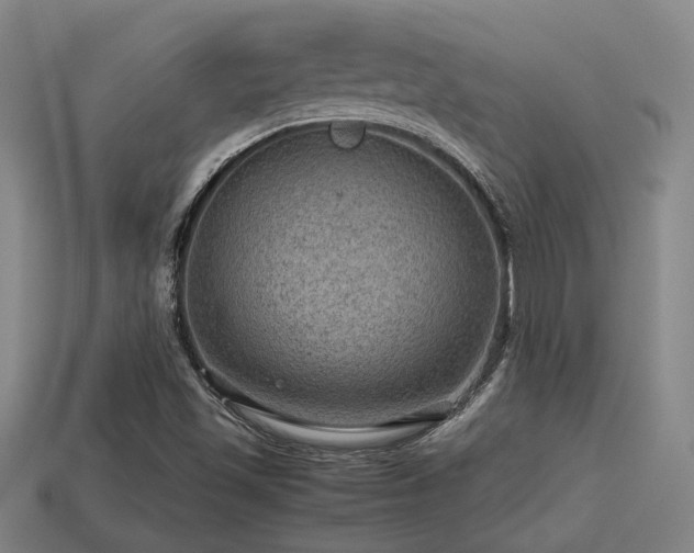 X0000113591501200909251125