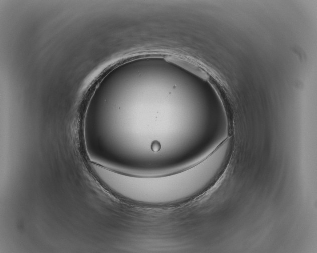 X0000113591502200909251125