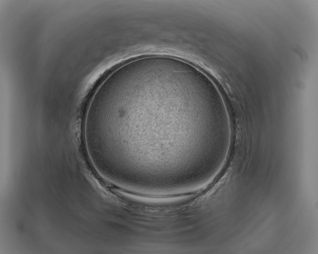 X0000113591503200909251125