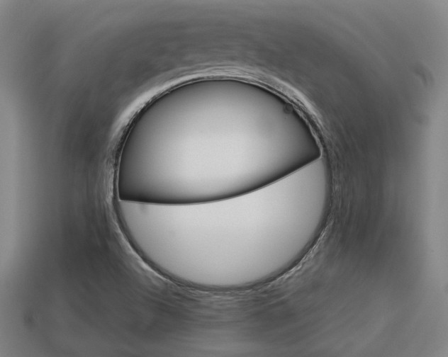 X0000113591504200909251125