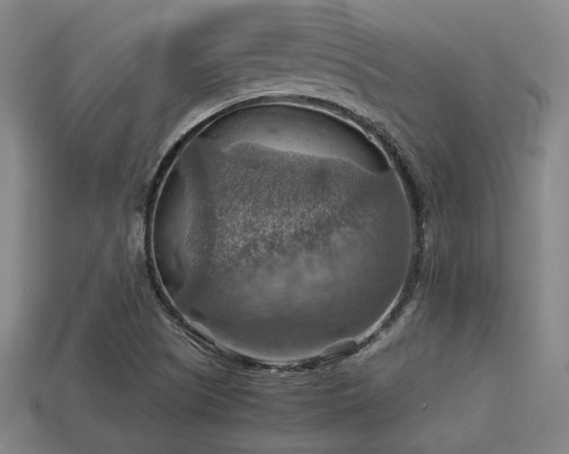 X0000113591505200909251125