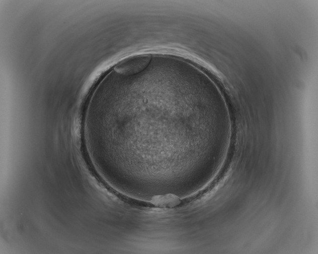 X0000113591506200909251125