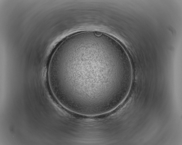 X0000113591507200909251125