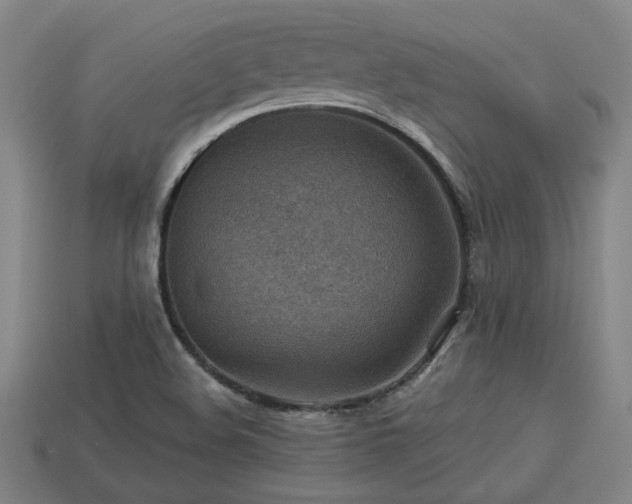 X0000113591508200909251125