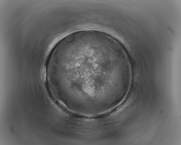 X0000113591509200909251125