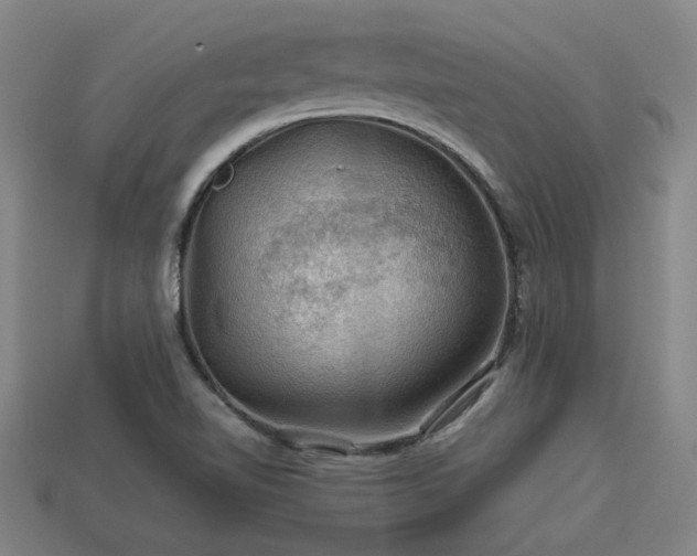 X0000113591510200909251125