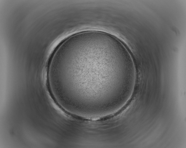 X0000113591511200909251125