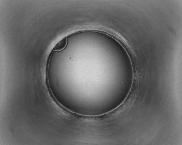 X0000113591512200909251125