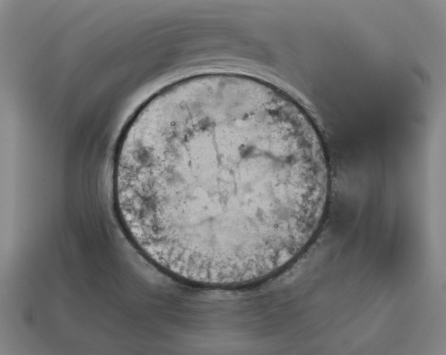 X0000113591514200909251125