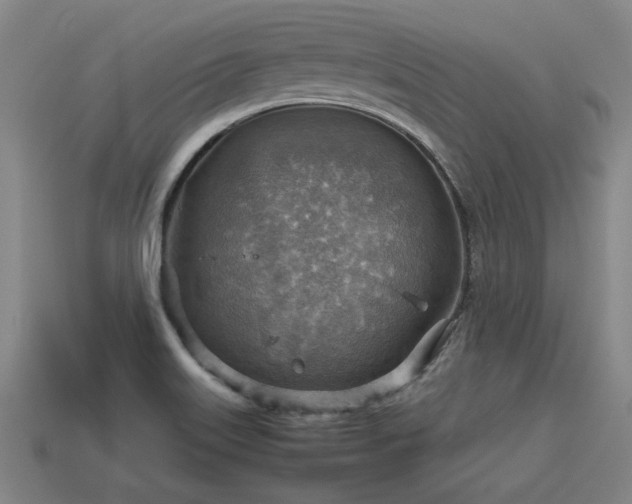 X0000113591515200909251125