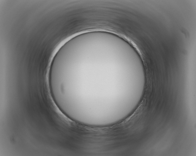 X0000113591516200909251125