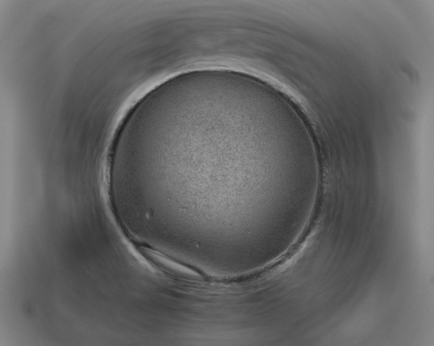 X0000113591517200909251125