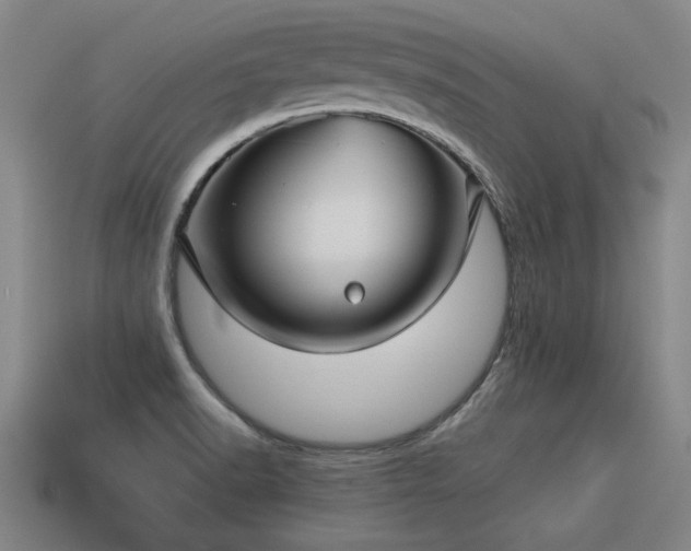 X0000113591518200909251125