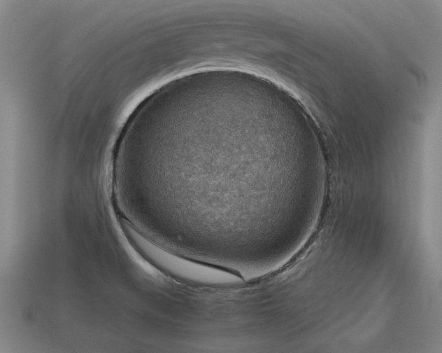 X0000113591519200909251125