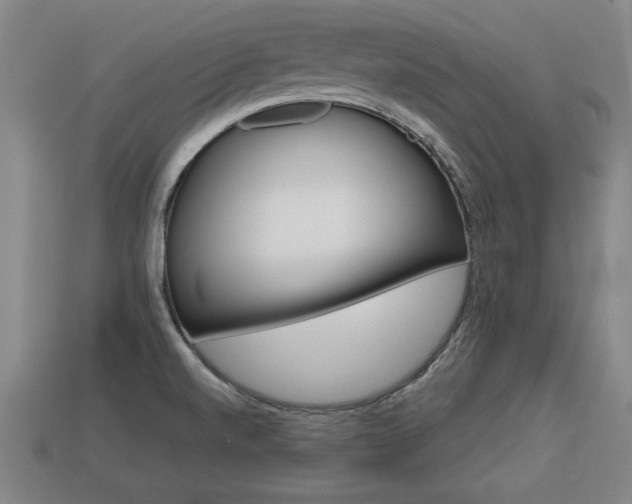 X0000113591520200909251125