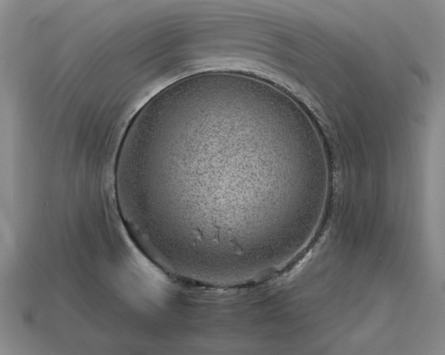 X0000113591521200909251125