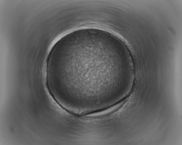 X0000113591522200909251125