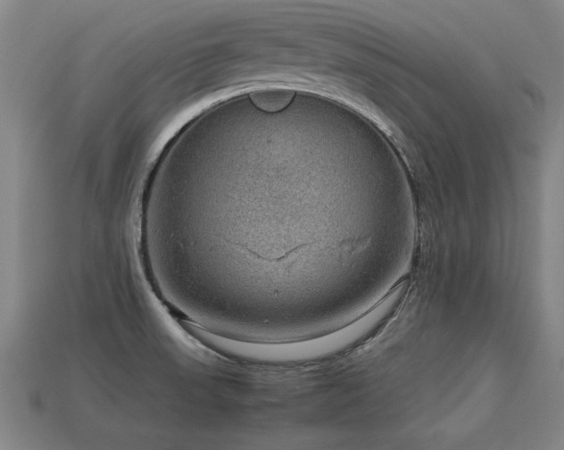 X0000113591523200909251125