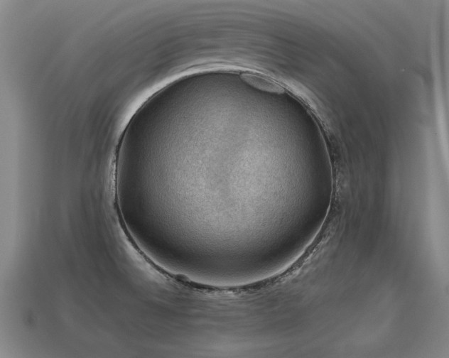 X0000113591524200909251125