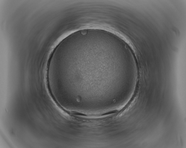 X0000113591525200909251125