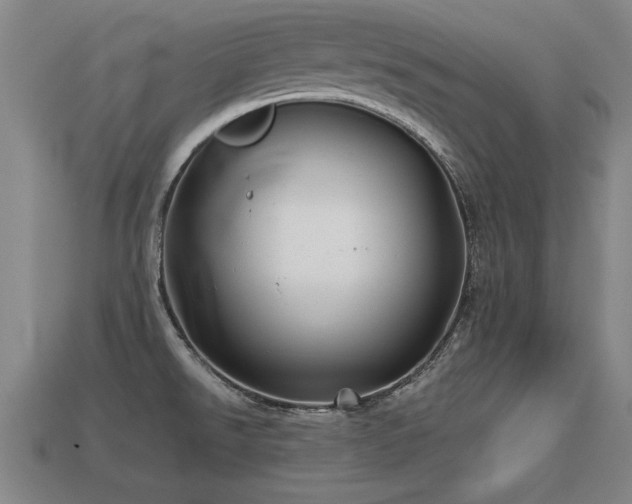 X0000113591526200909251125