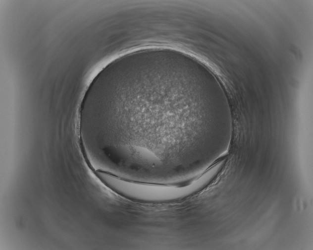 X0000113591527200909251125