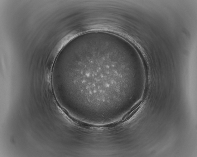 X0000113591529200909251125