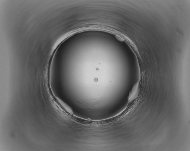 X0000113591530200909251125