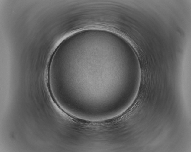 X0000113591531200909251125