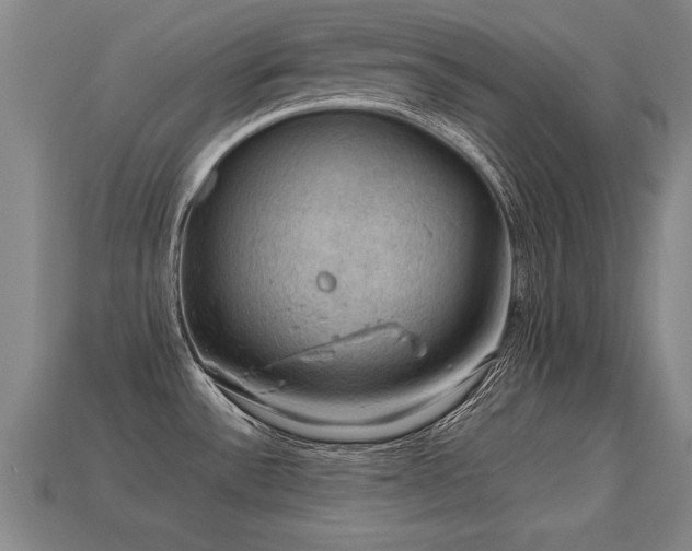 X0000113591532200909251125