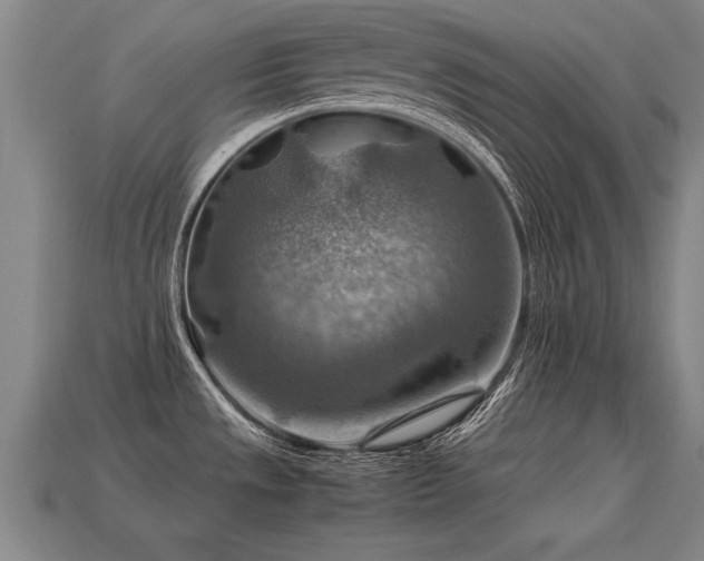 X0000113591533200909251125