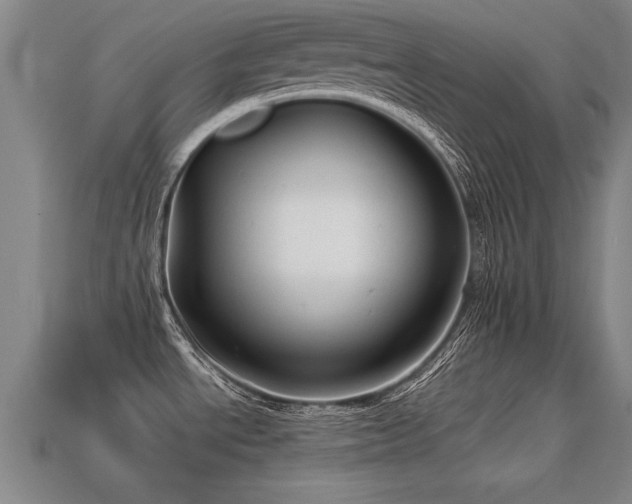 X0000113591534200909251125