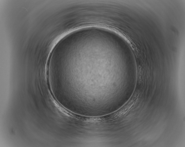 X0000113591535200909251125