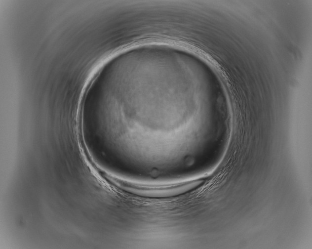 X0000113591536200909251125