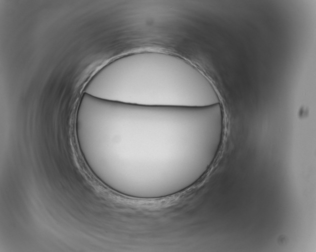 X0000113590001200910021728