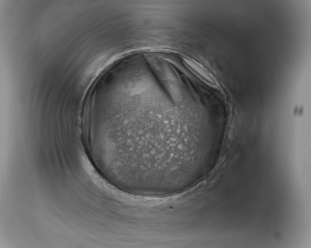 X0000113590002200910021728