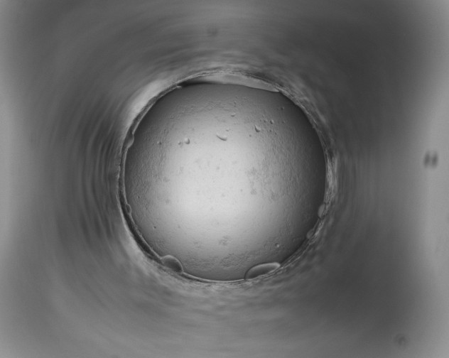 X0000113590003200910021728