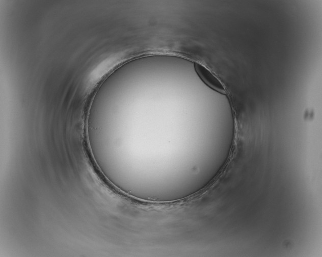 X0000113590005200910021728