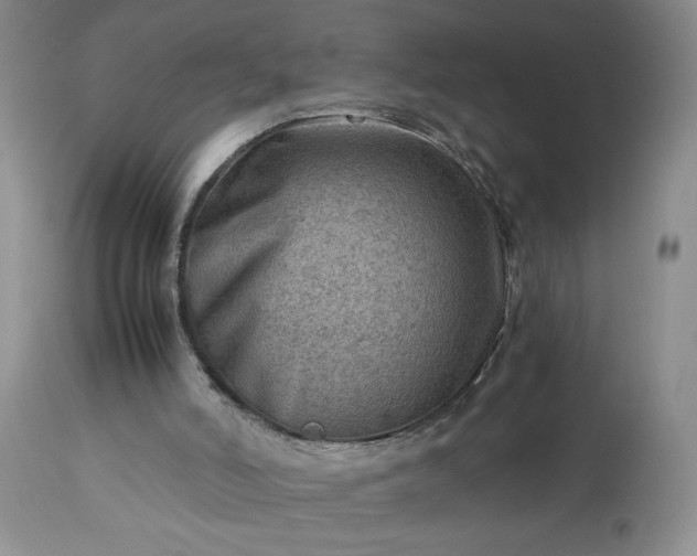 X0000113590006200910021728