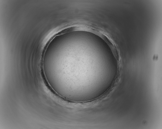 X0000113590007200910021728