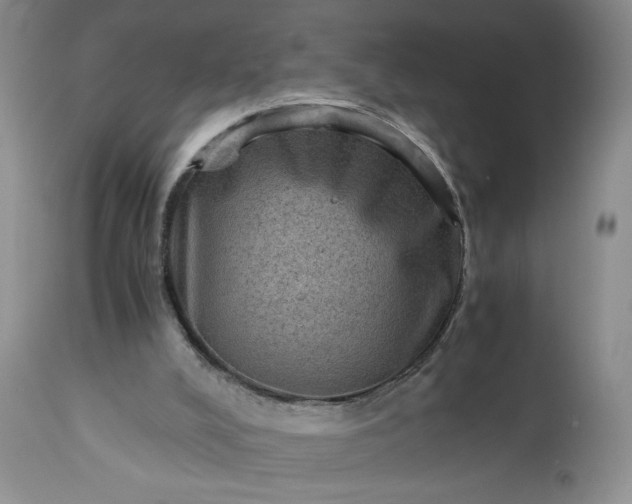 X0000113590008200910021728