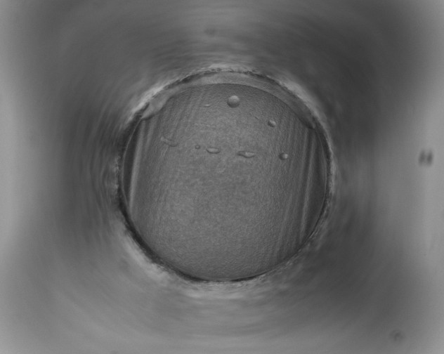 X0000113590009200910021728