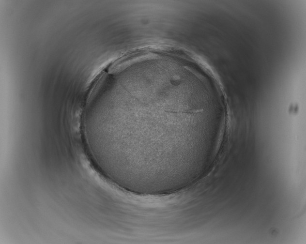 X0000113590010200910021728