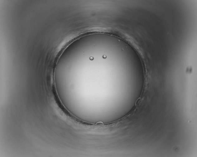 X0000113590011200910021728