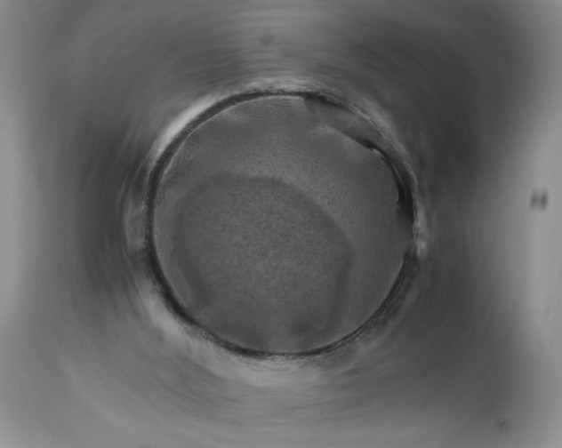 X0000113590012200910021728